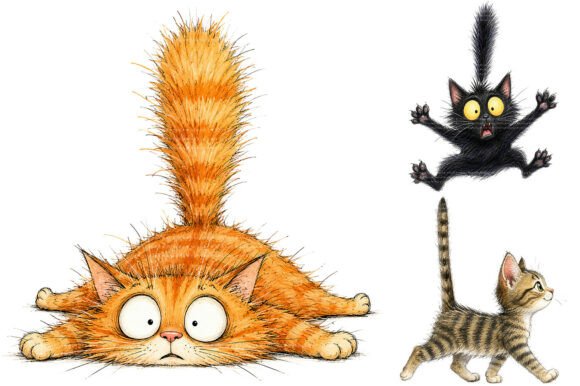 Download Whimsical Funny Cat PNG Bundle - Cat Collection